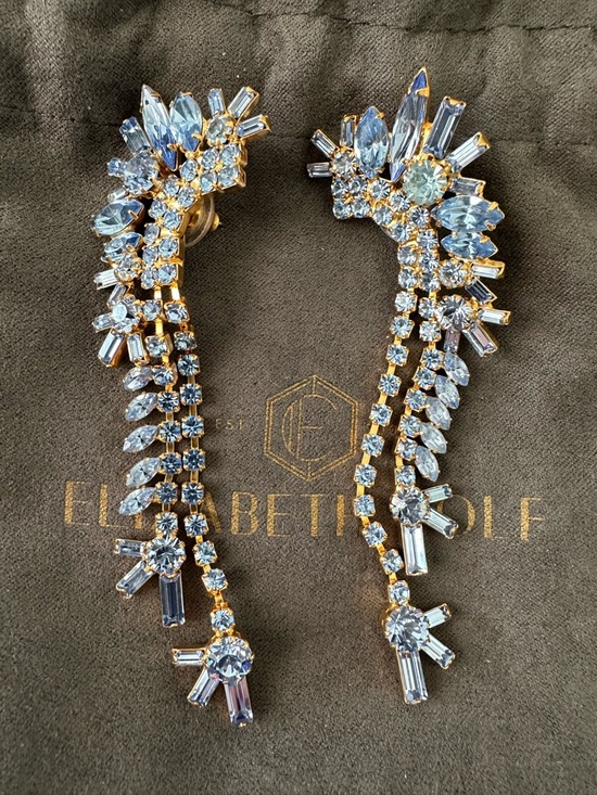 Elizabeth Cole Jewelry - Elizabeth Cole Mohawk Crystal Earrings
